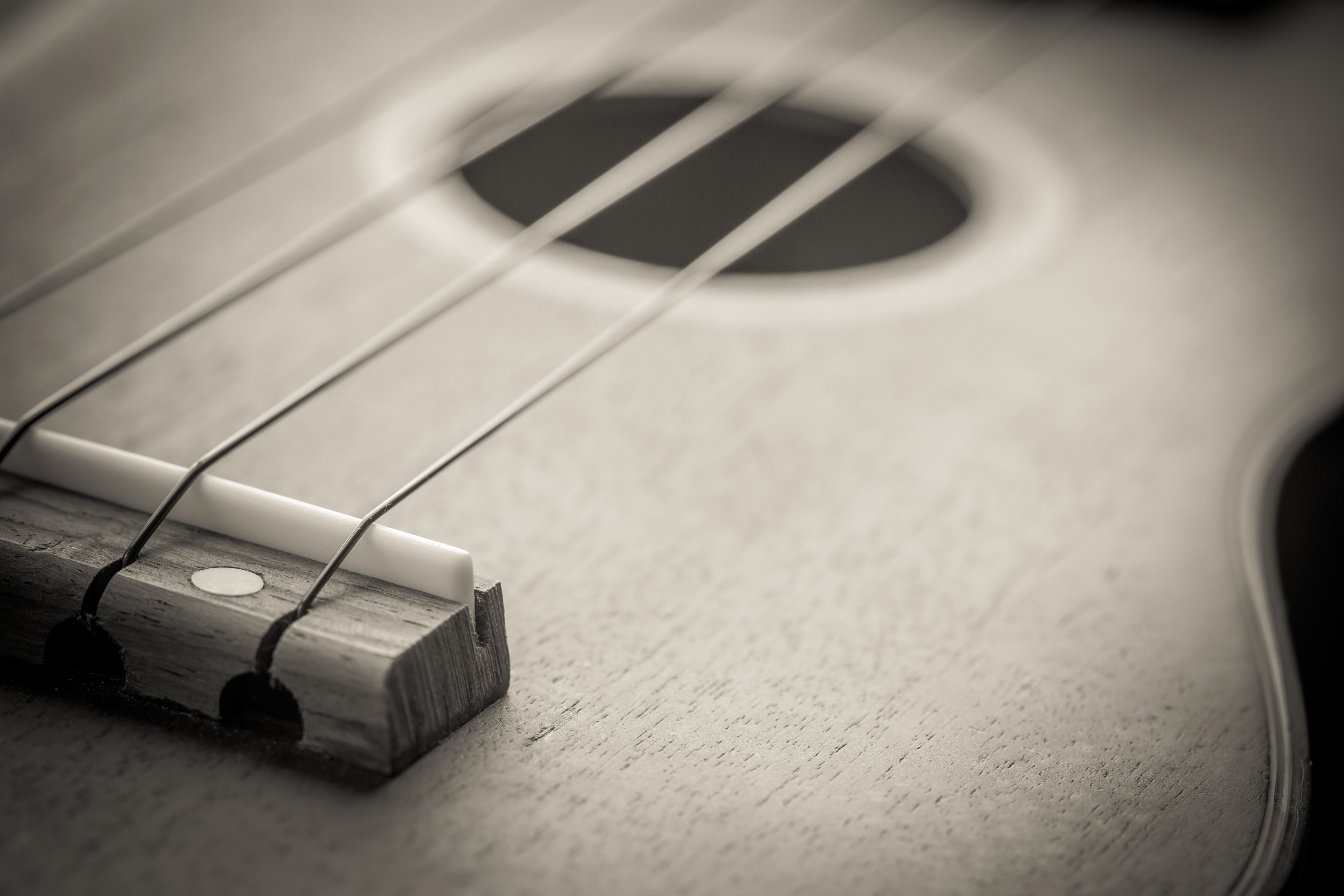 Ukulele lessons in-home Chicago Milwaukee